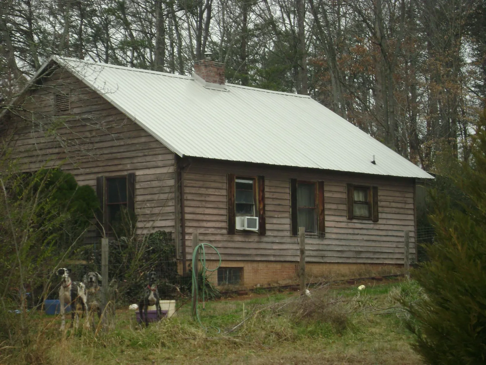 White metal roof on an old wood sided farmhouse, from a Asphalt Shingle Roof Repair job in Hillsboro